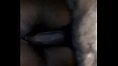 চালান আমি এবং আমার প্রাক্তন রাণী পরে আমার লাল-গালিচা চলন্ত-ছবি শো প্রিমিয়ার