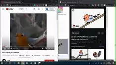 Reproducir (primeros planos) mordaz para el centro federal de capacitación para el cumplimiento de la ley molva molva en google pictures