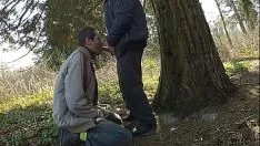 Redare Bunici în pădure 120