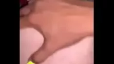 চালান আবলুস গাছ 9