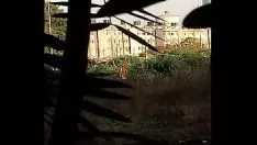Jouer Vagari tante sévère