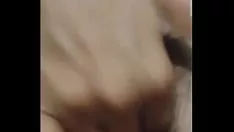 Riproduci Desi Missy gioca con il gattino