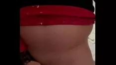 चलाएँ कैट्सिटो टोलो