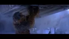 تشغيل "الامبريوم يخرجون يتراجعون" (1980)