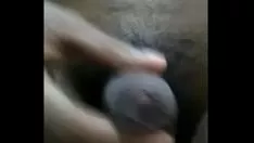 تشغيل فيد 161 فرحة بلي الحاجة
