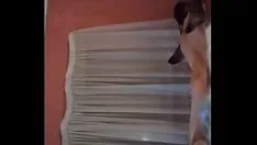 Reproducir Golpeando a pixus