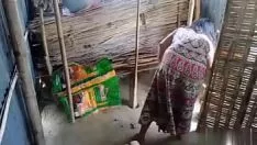 播放 在她的董事会中与 co-edchampion 发生性关系