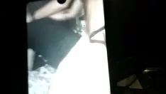 تشغيل الحصول على مختارات وضعت sashay من بلدي tabby من sashay
