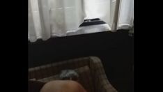 Oynat Eşek populasyonunda