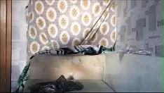চালান অরিফিস অনানিজম