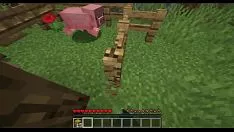 تشغيل تسلسل Minetrade 1