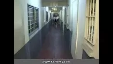 Jouer Kitty-caties asiatiques sur la police séparée 1