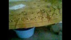 Putar Rekaman video0006