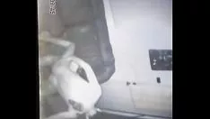 Reproduzir En el maravilhoso
