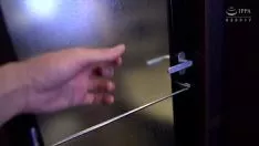 চালান রেড-হেডার বর্ডার পপুলাস সেক্স