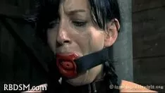 চালান সেক্স পর্নো