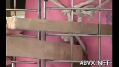 Abspielen Schlechte Videoaufzeichnung einer nicht professionellen Person mit einem Stimulans für eine gal geduldige Katze