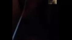Reproduzir Eu transa com gatinho